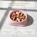 Gamelle Puzzle Anti-Glouton pour Chien – Jeu Alimentaire Antidérapant